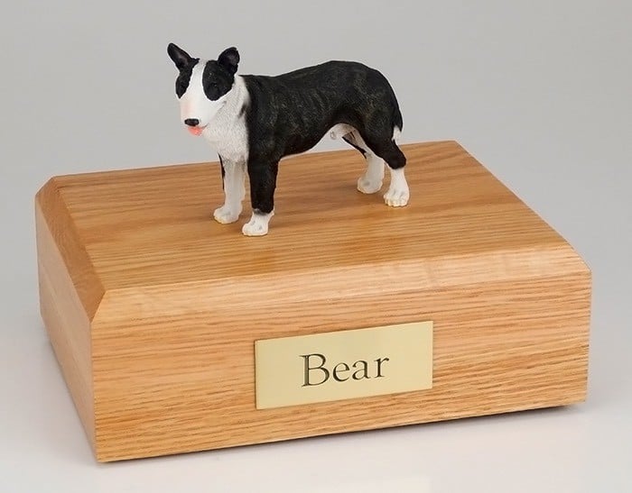 Bull Terrier brindle/white figurine cremation urn w/wood box
